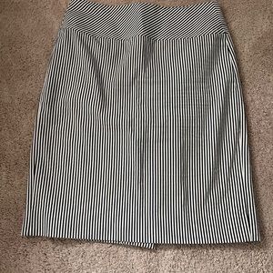 J Crew Skirt